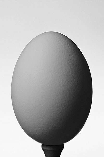 Portrait of an Egg