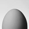 Portrait of an Egg